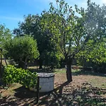 Maison Confort Avec Piscine Et Climatisation Tatil Evi Albi