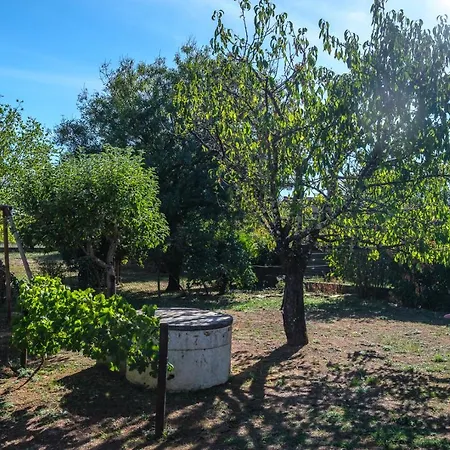 Maison Confort Avec Piscine Casa vacanze Albi