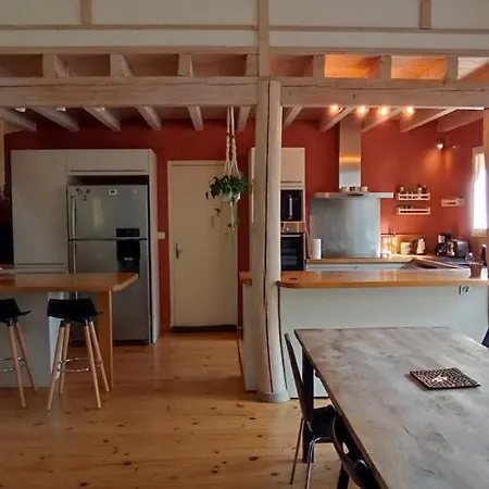 Maison Confort Avec Piscine Albi