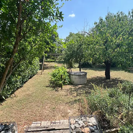 Maison Confort Avec Piscine Casa vacanze Albi